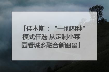 佳木斯：“一地四种” 模式任选 从定制小菜园看城乡融合新图景
