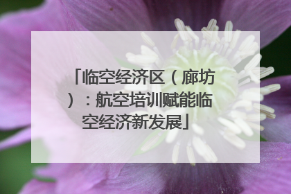 临空经济区（廊坊）：航空培训赋能临空经济新发展