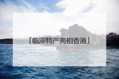 临潼特产亮相香港