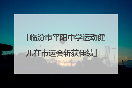 临汾市平阳中学运动健儿在市运会斩获佳绩