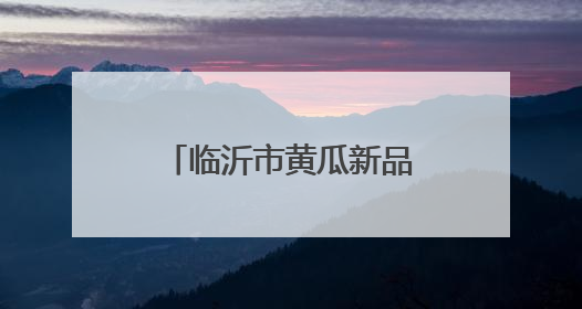 临沂市黄瓜新品种新技术培训班在沂南县举办