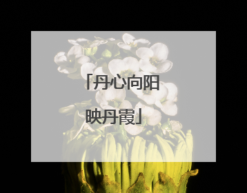 丹心向阳映丹霞