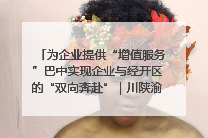 为企业提供“增值服务”巴中实现企业与经开区的“双向奔赴”｜川陕渝网络名人巴中行