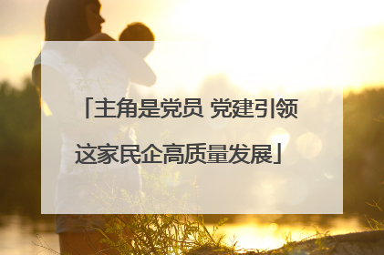 主角是党员 党建引领这家民企高质量发展