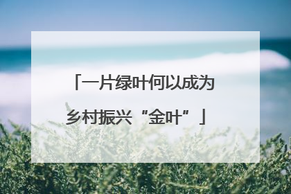 一片绿叶何以成为乡村振兴“金叶”