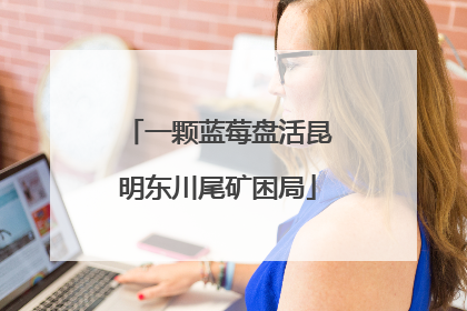 一颗蓝莓盘活昆明东川尾矿困局