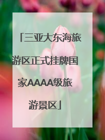 三亚大东海旅游区正式挂牌国家AAAA级旅游景区
