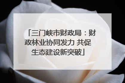 三门峡市财政局：财政林业协同发力 共促生态建设新突破