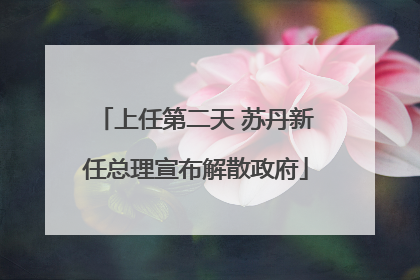 上任第二天 苏丹新任总理宣布解散政府