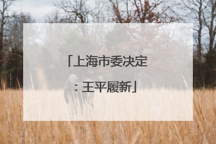 上海市委决定：王平履新