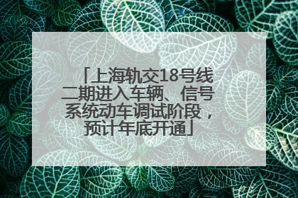 上海轨交18号线二期进入车辆、信号系统动车调试阶段，预计年底开通