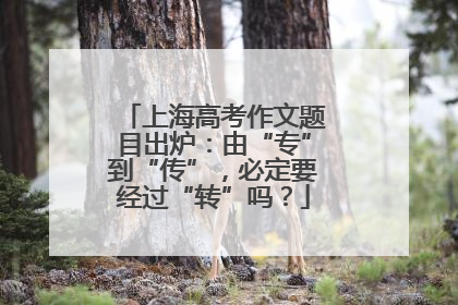 上海高考作文题目出炉：由“专”到“传”，必定要经过“转”吗？