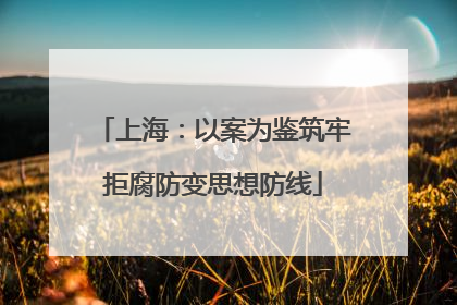 上海：以案为鉴筑牢拒腐防变思想防线