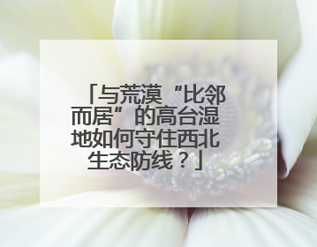 与荒漠“比邻而居”的高台湿地如何守住西北生态防线？