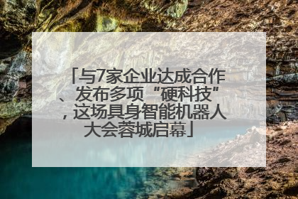 与7家企业达成合作、发布多项“硬科技”，这场具身智能机器人大会蓉城启幕