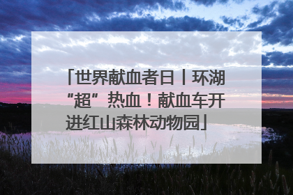 世界献血者日丨环湖“超”热血！献血车开进红山森林动物园