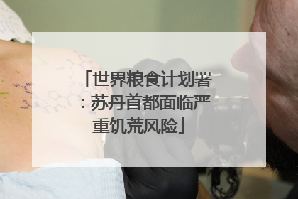 世界粮食计划署：苏丹首都面临严重饥荒风险