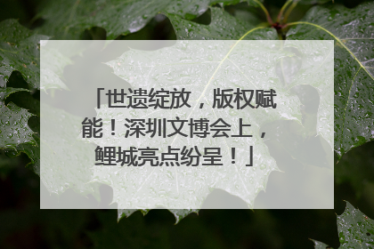 世遗绽放，版权赋能！深圳文博会上，鲤城亮点纷呈！