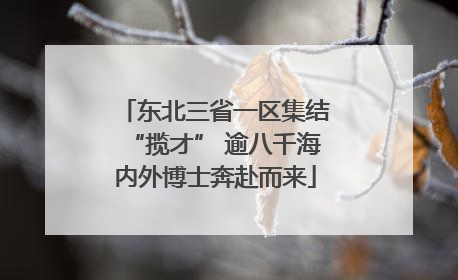 东北三省一区集结“揽才” 逾八千海内外博士奔赴而来
