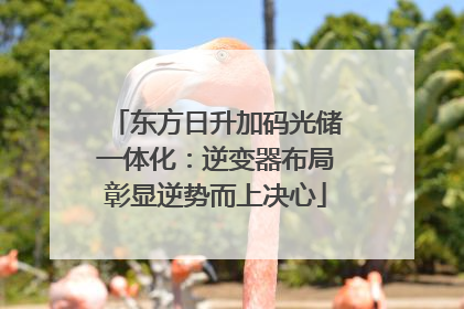 东方日升加码光储一体化：逆变器布局彰显逆势而上决心