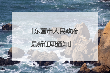 东营市人民政府最新任职通知