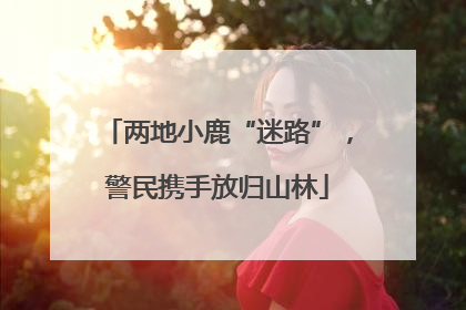 两地小鹿“迷路”，警民携手放归山林