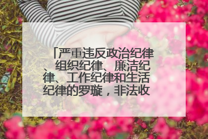 严重违反政治纪律、组织纪律、廉洁纪律、工作纪律和生活纪律的罗璇，非法收受他人巨额财物