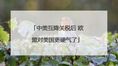 中美互降关税后 欧盟对美国更硬气了