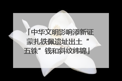中华文明影响添新证 蒙扎铁佩遗址出土“五铢”钱和斜纹纬锦