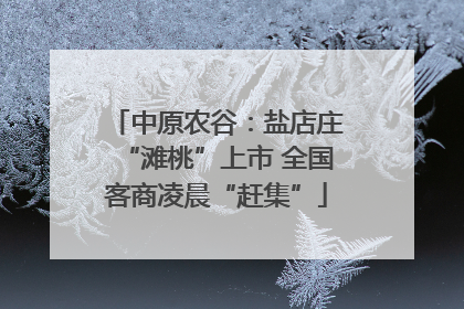 中原农谷：盐店庄“滩桃”上市 全国客商凌晨“赶集”