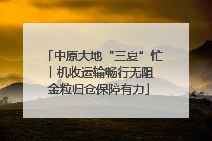 中原大地“三夏”忙丨机收运输畅行无阻 金粒归仓保障有力