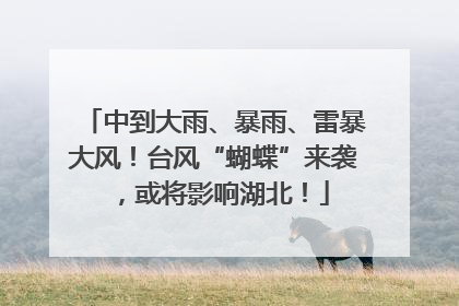 中到大雨、暴雨、雷暴大风！台风“蝴蝶”来袭，或将影响湖北！