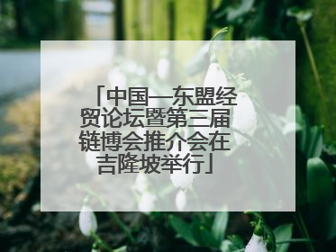 中国—东盟经贸论坛暨第三届链博会推介会在吉隆坡举行