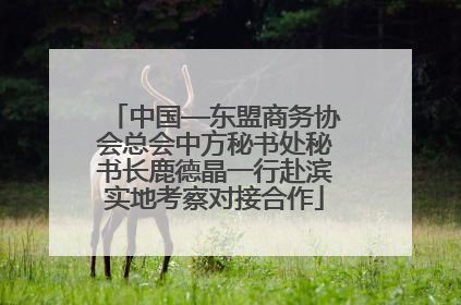 中国—东盟商务协会总会中方秘书处秘书长鹿德晶一行赴滨实地考察对接合作