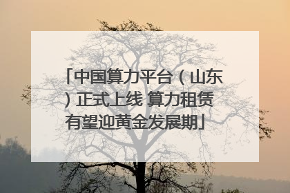中国算力平台（山东）正式上线 算力租赁有望迎黄金发展期