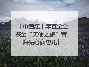 中国红十字基金会探望“天使之旅”青海先心病患儿