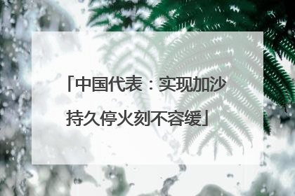 中国代表：实现加沙持久停火刻不容缓