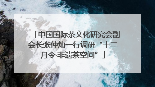中国国际茶文化研究会副会长张仲灿一行调研“十二月令·非遗茶空间”