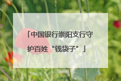 中国银行崇阳支行守护百姓“钱袋子”