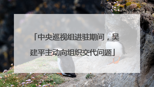 中央巡视组进驻期间，吴建平主动向组织交代问题