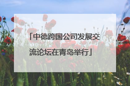 中德跨国公司发展交流论坛在青岛举行