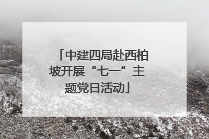 中建四局赴西柏坡开展“七一”主题党日活动