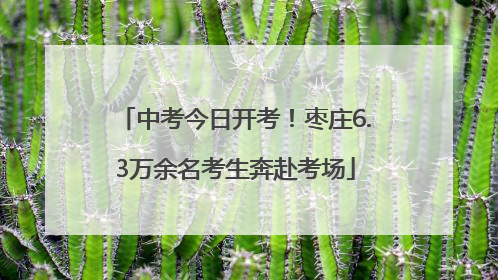 中考今日开考！枣庄6.3万余名考生奔赴考场