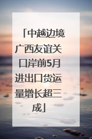 中越边境广西友谊关口岸前5月进出口货运量增长超三成