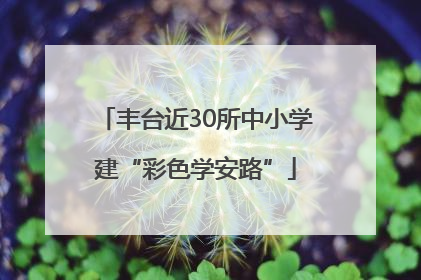 丰台近30所中小学建“彩色学安路”