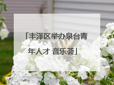 丰泽区举办泉台青年人才 音乐荟