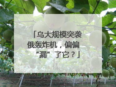 乌大规模突袭俄轰炸机，偏偏“漏”了它？