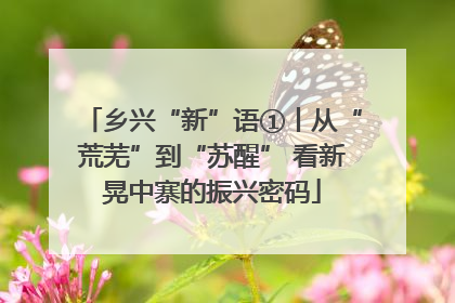 乡兴“新”语①丨从“荒芜”到“苏醒” 看新晃中寨的振兴密码