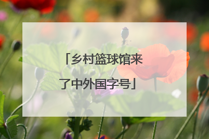 乡村篮球馆来了中外国字号