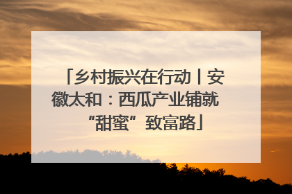 乡村振兴在行动丨安徽太和：西瓜产业铺就“甜蜜”致富路
